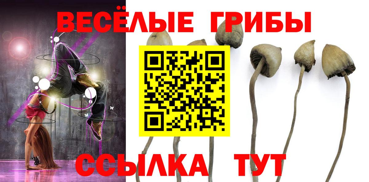 Гусиноозёрск  Псилоцибиновые грибы MAGIC MUSHROOMS  Вход с VPN  Псилоцибиновые грибы Psilocybe 