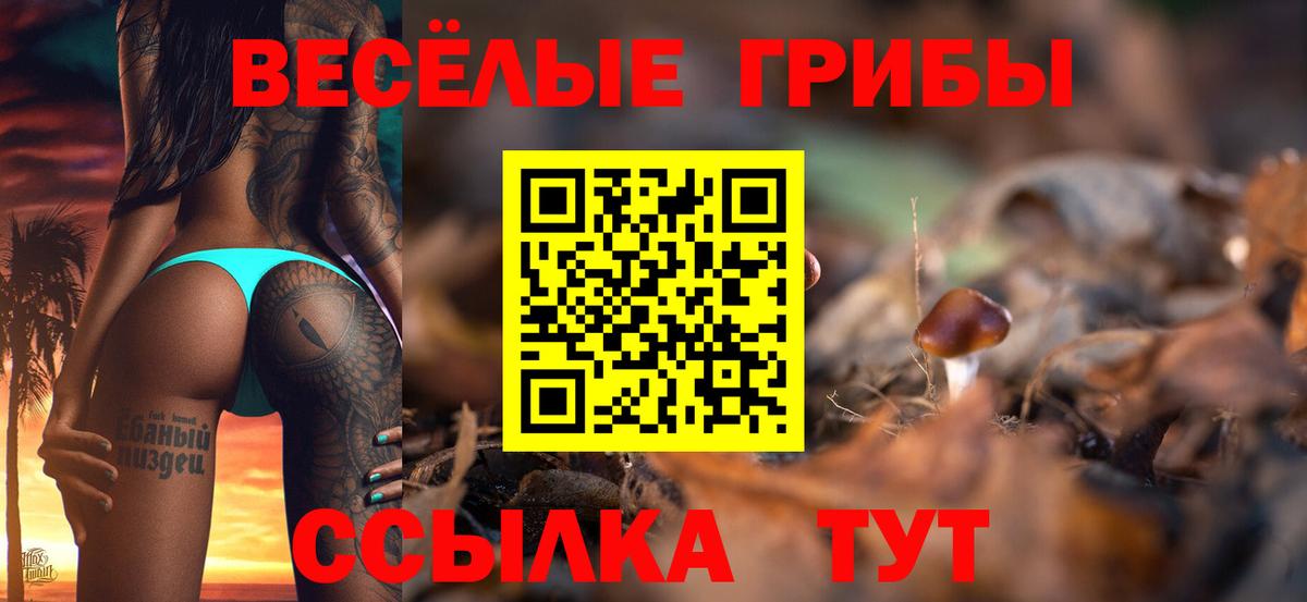 Галлюциногенные грибы Psilocybe Гусиноозёрск